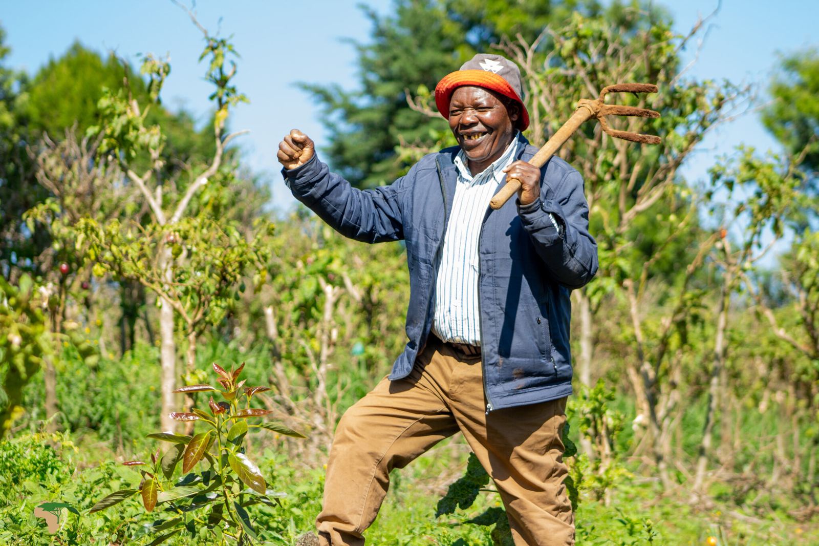 A Palm Field Creatives team member handling young seedlings at the nursery