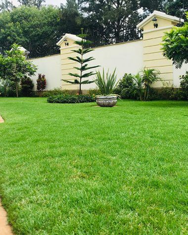 Entrance garden and signage bed, Gigiri — detail photo 2