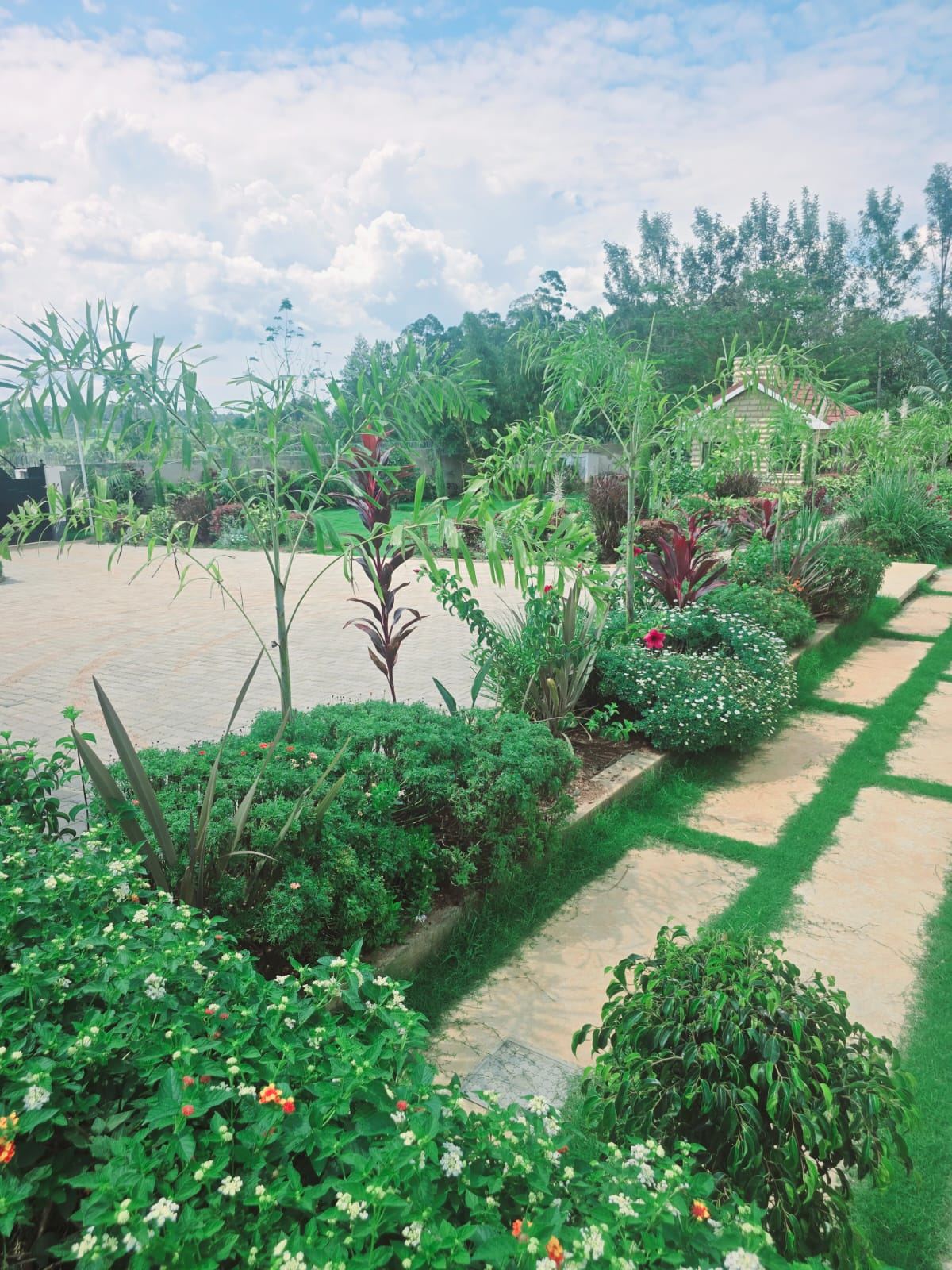 Landscaping work by Palm Field Creatives